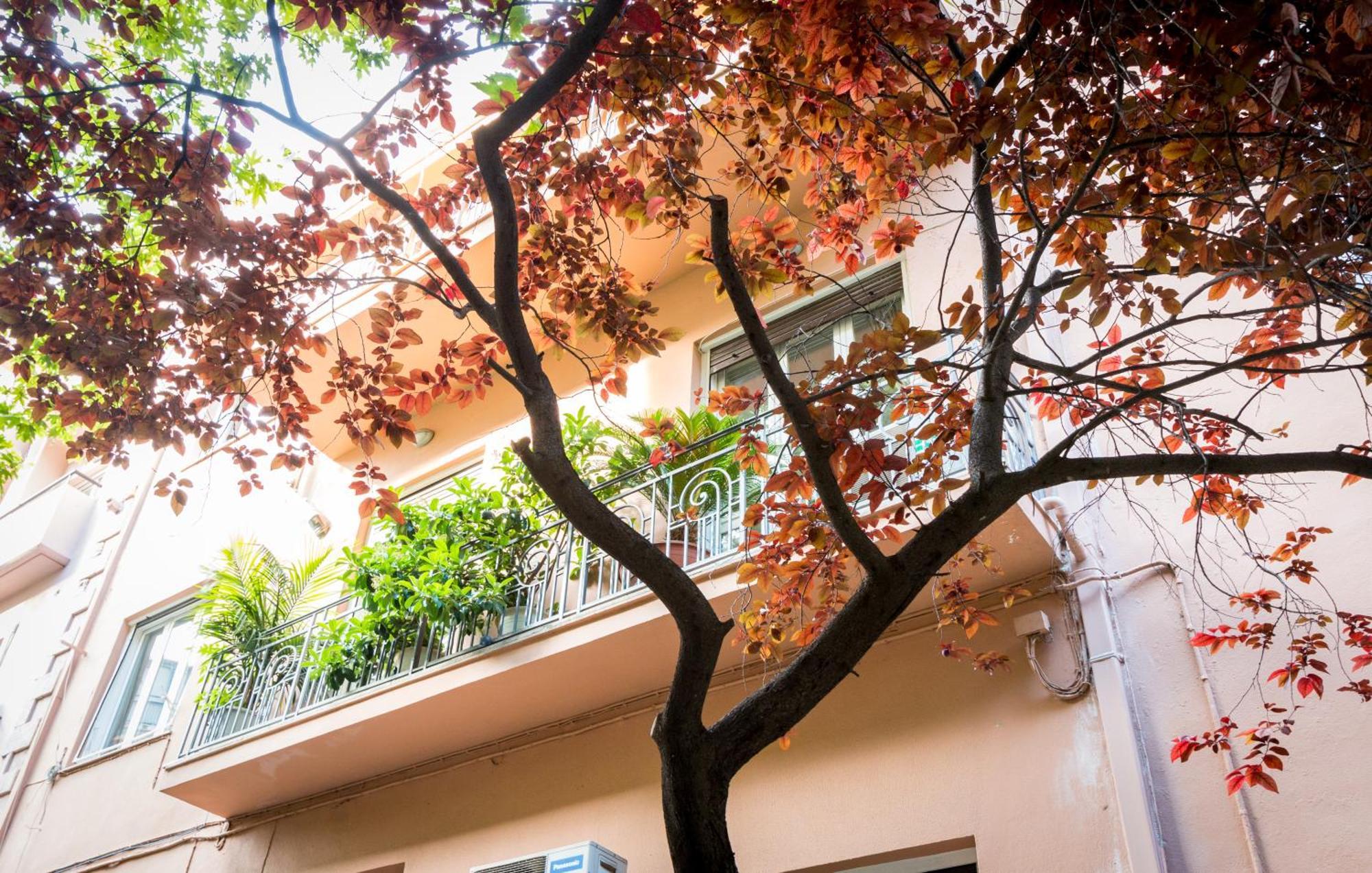 3 Bedder Condo In Ilisia, Megaro Mousikis Athén Kültér fotó